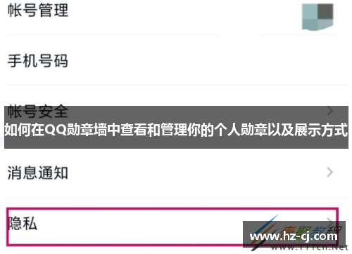 如何在QQ勋章墙中查看和管理你的个人勋章以及展示方式