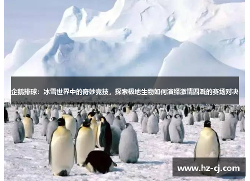 企鹅排球：冰雪世界中的奇妙竞技，探索极地生物如何演绎激情四溅的赛场对决